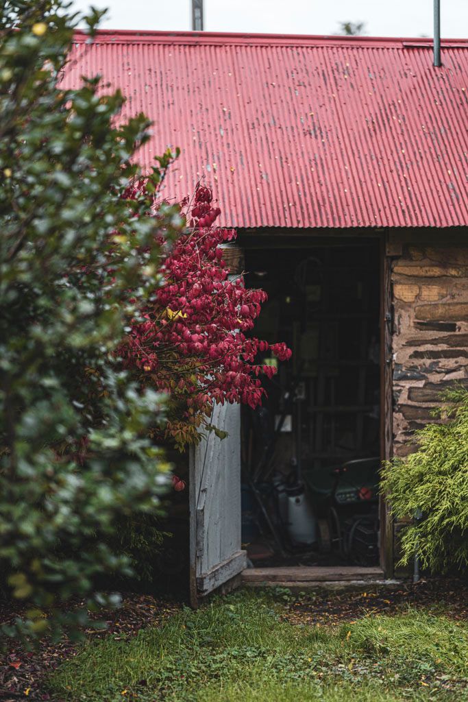 Rustic shed with red roof and pink flowering bush near entrance.