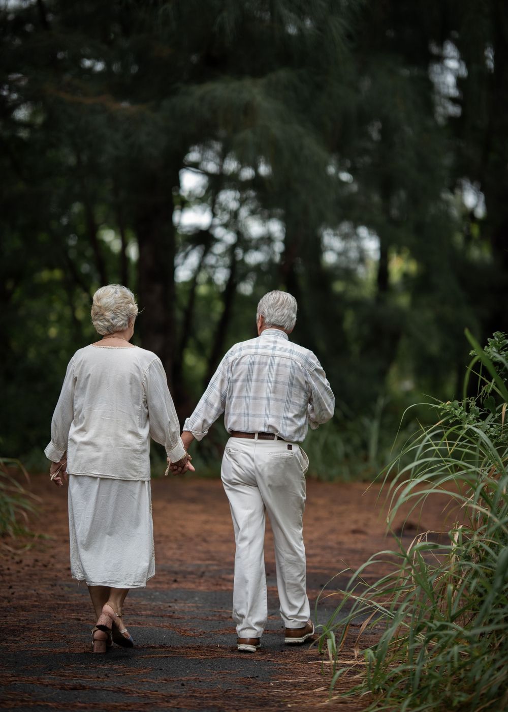 A couple walks hand in hand down a forest path on a peaceful afternoon.