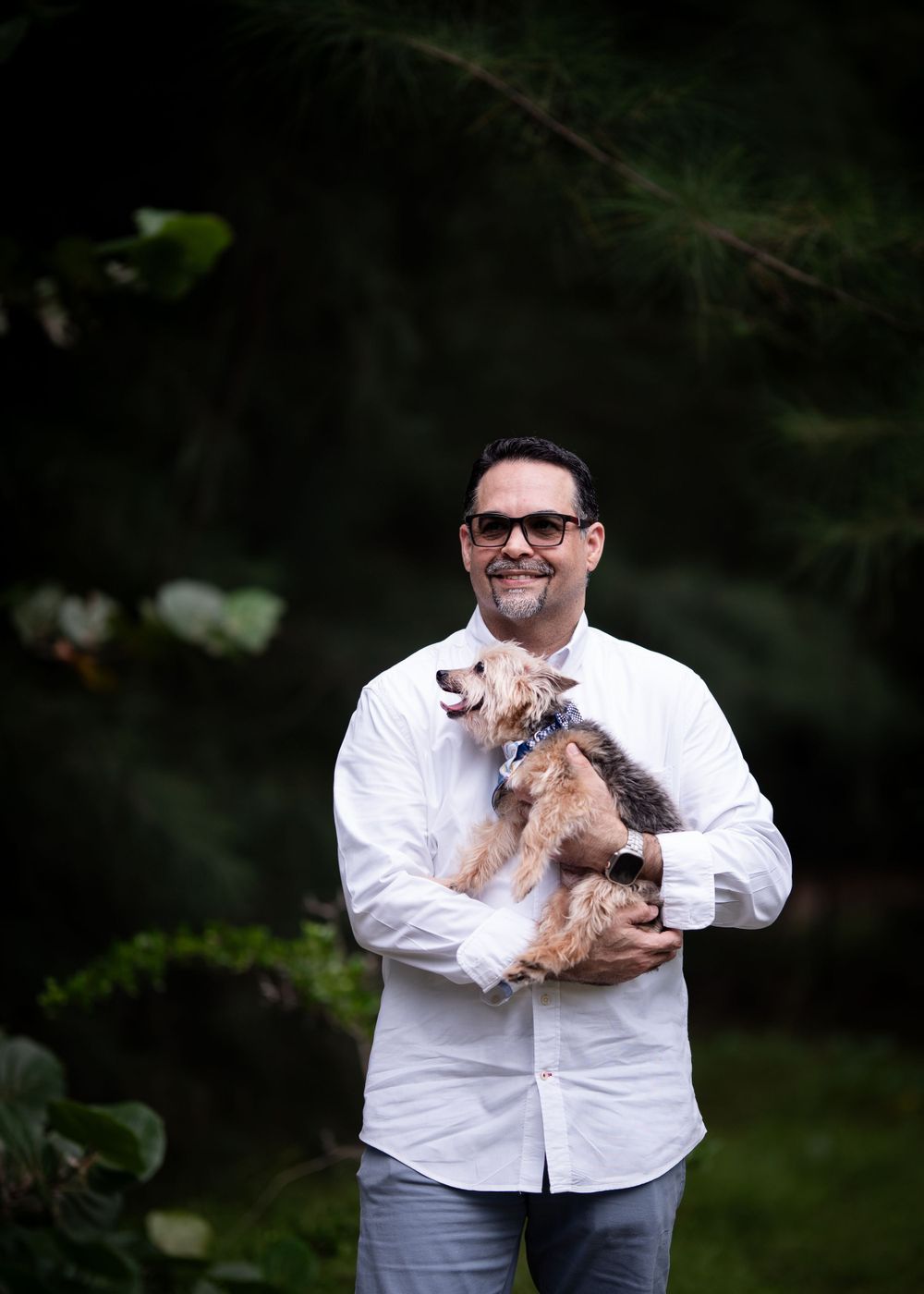 A person in a white shirt holds two small dogs while standing in a forest setting.