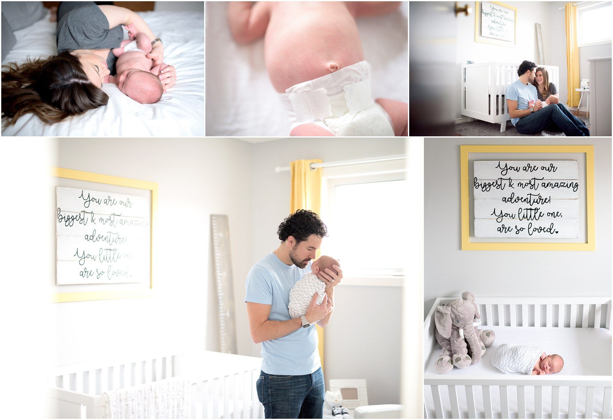 Newborn Photography Winnipeg