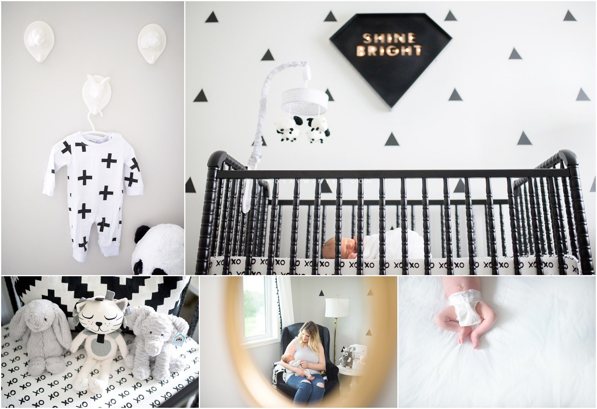Newborn Photography Winnipeg