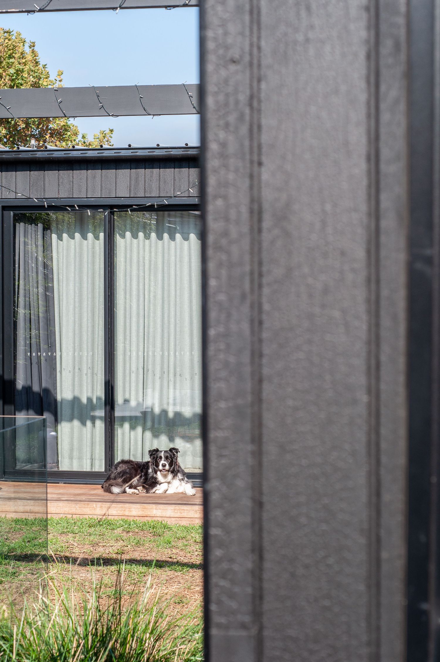 Modern house exterior with dog lounging on deck viewed through window frame.