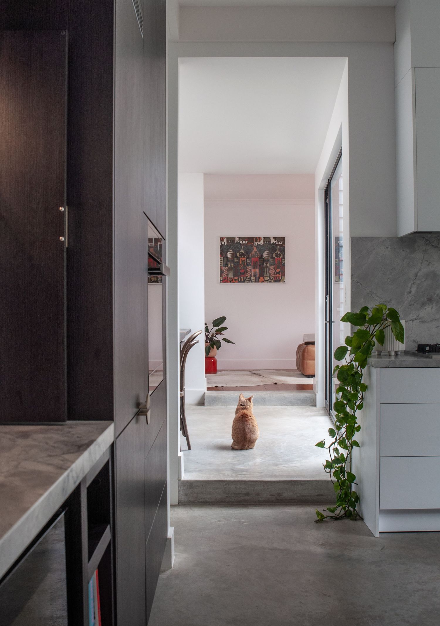 Modern minimalist hallway with orange cat sitting in distant doorway and hanging plants.