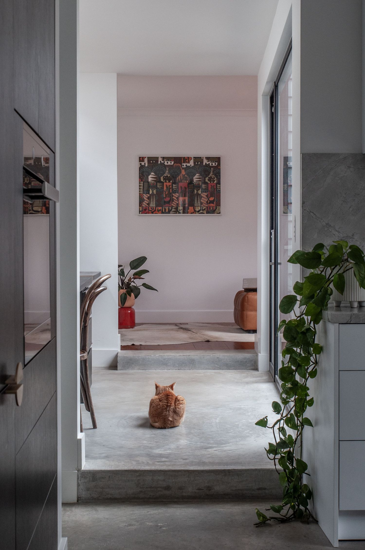 Sleek interior hallway with ginger cat sitting beneath decorative wall art and plants.