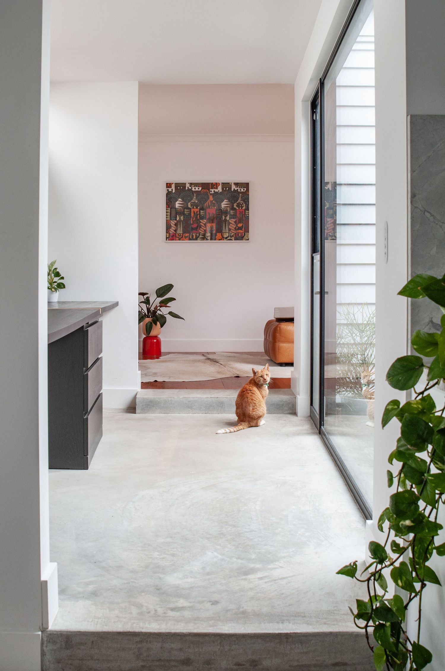 Modern home interior with concrete floors, large windows, and ginger cat gazing at artwork.