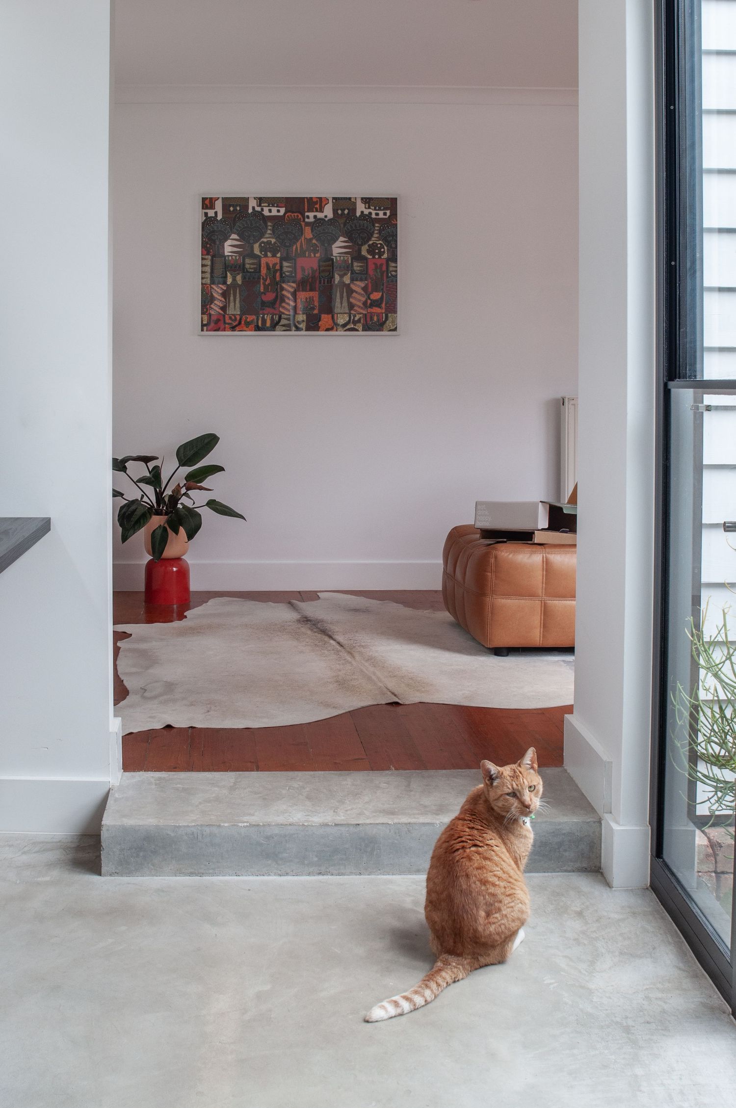 Orange tabby cat sits in bright minimalist room with artwork and leather ottoman.