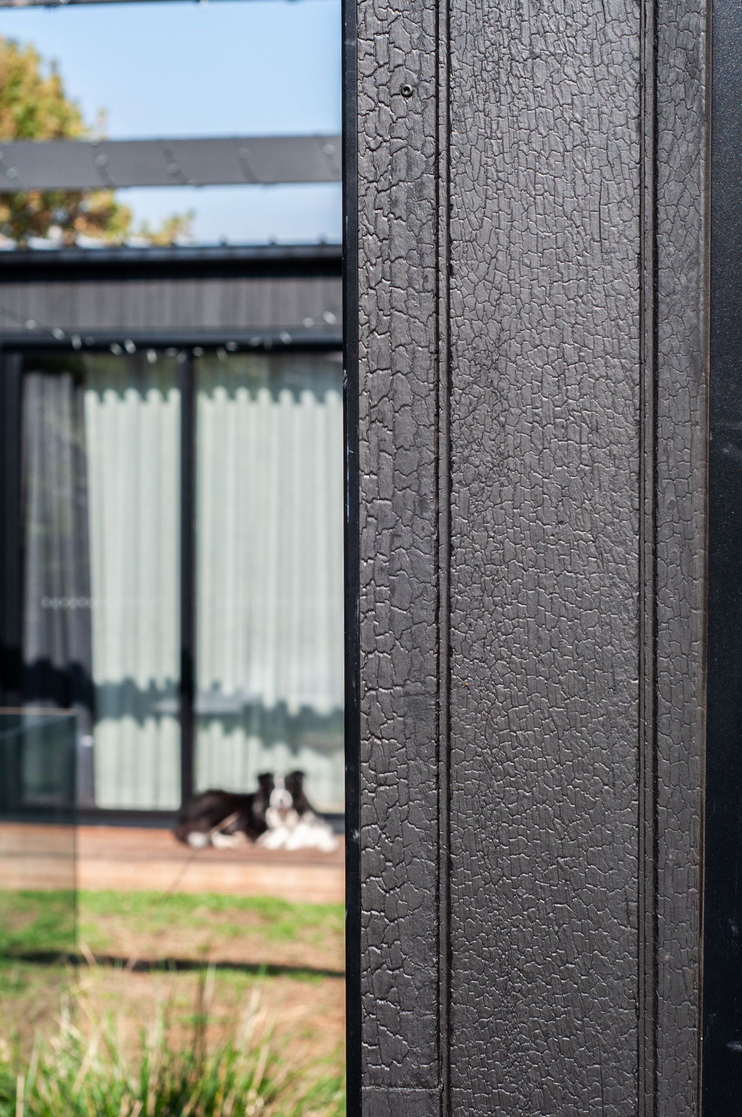 Black-framed window reflecting outdoor scene with dog resting on deck.