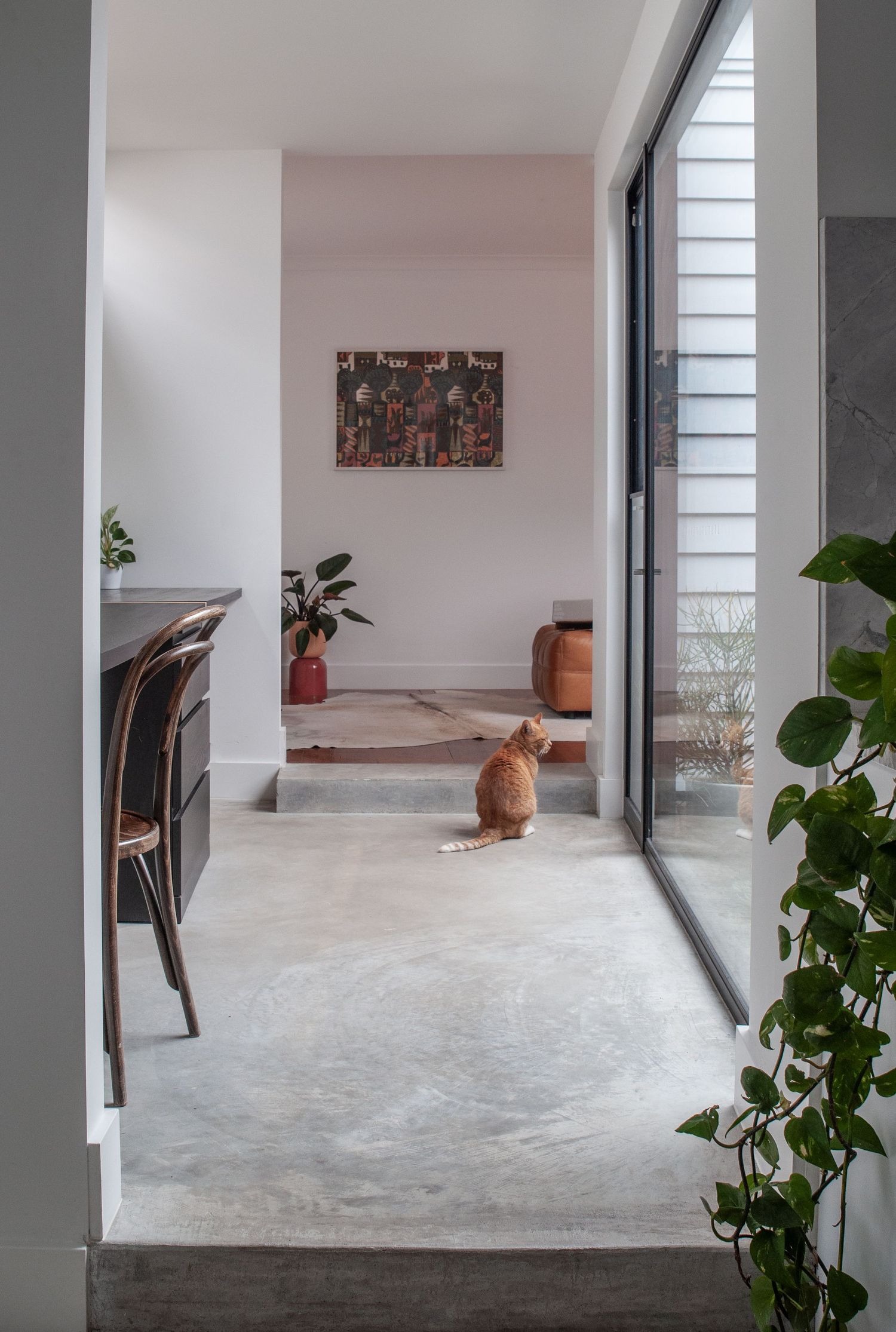 Bright hallway with concrete floors, hanging plants, and view to living space.