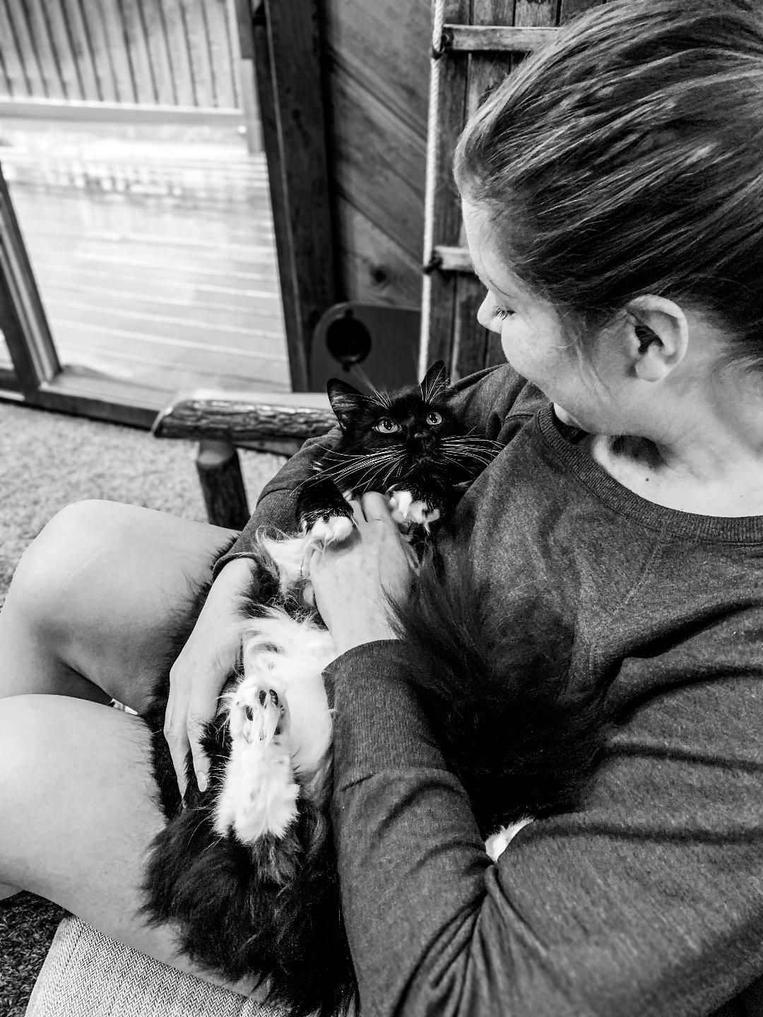 Photograph of an End-of-life session with a cat. Blue Onion Photography.