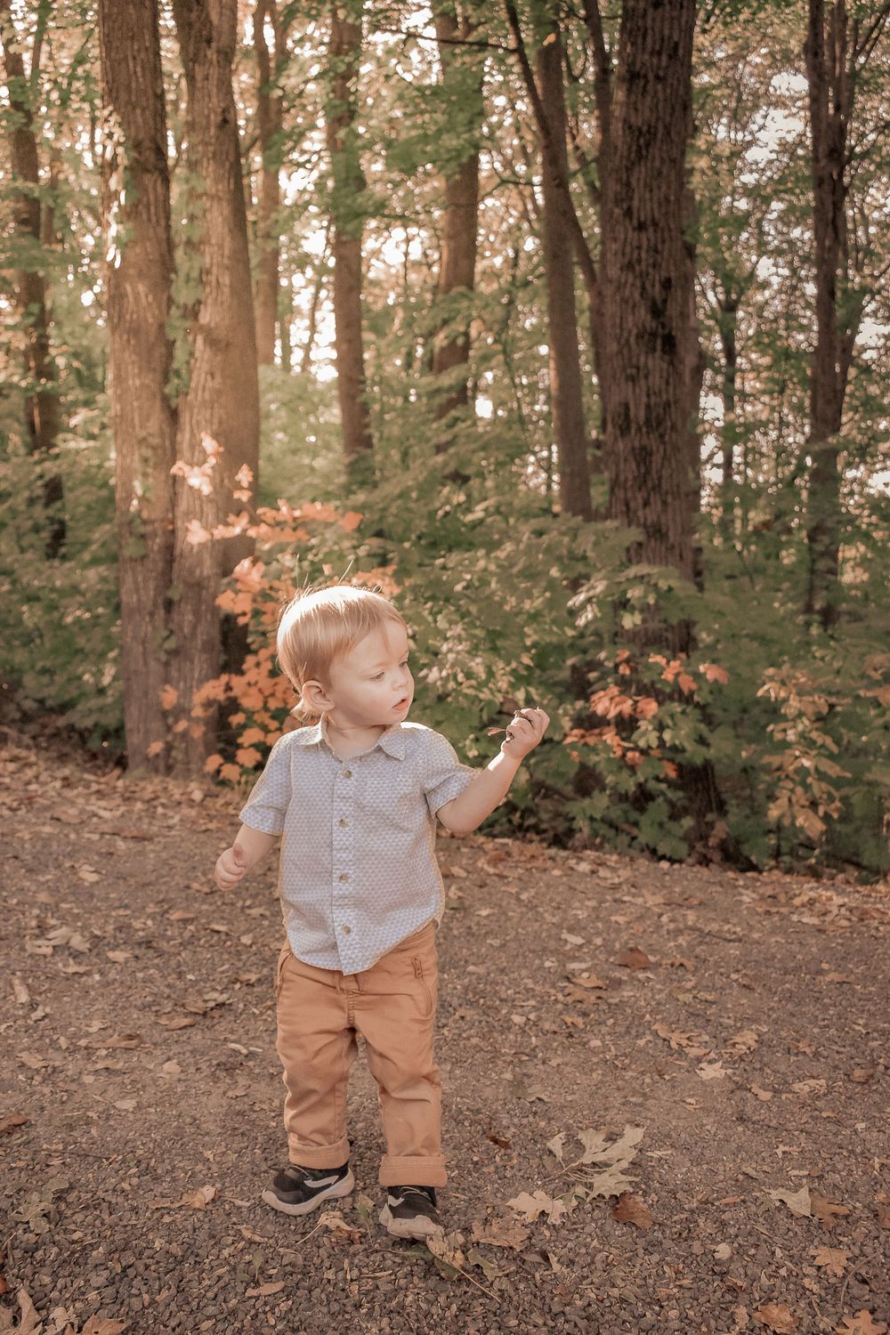Capturing the whimsy and wonder of childhood.  Blue Onion Photography.