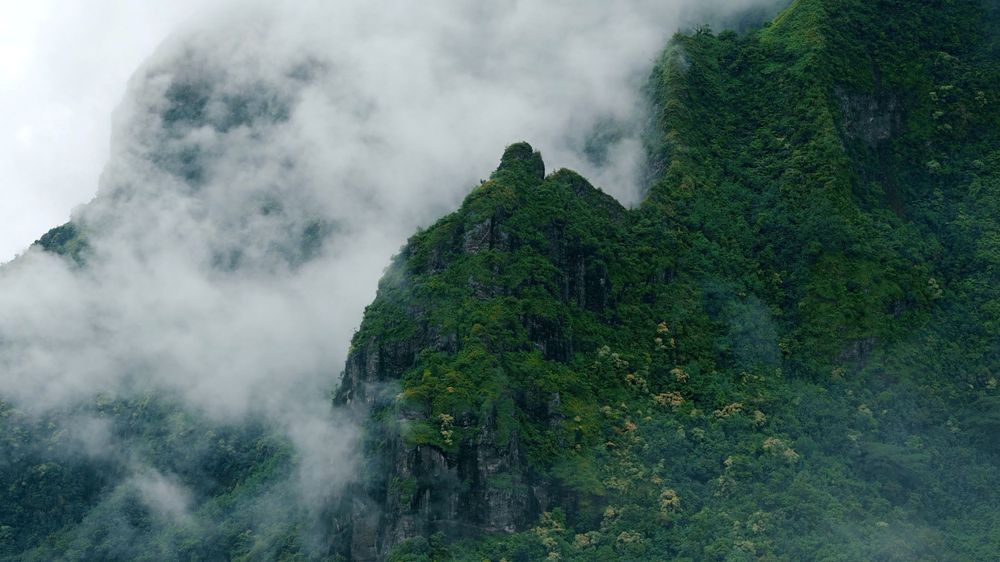 Misty mountain peak covered in lush green vegetation rises through low-hanging clouds in a dramatic landscape.