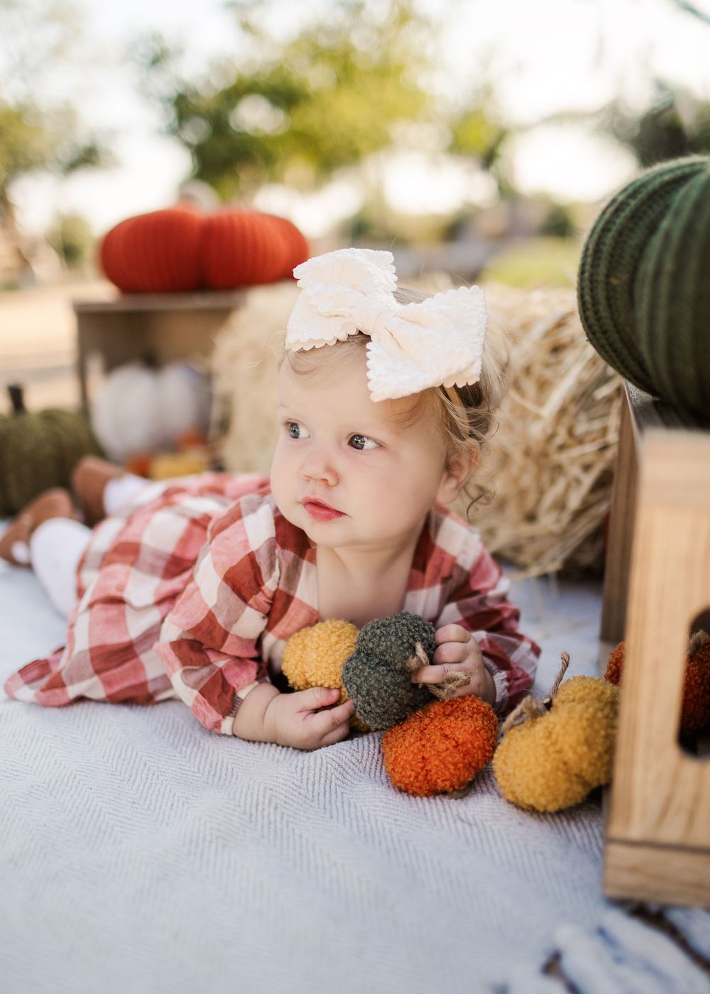 Autumn photo scene with decorative pumpkins and cozy plaid styling on blanket.