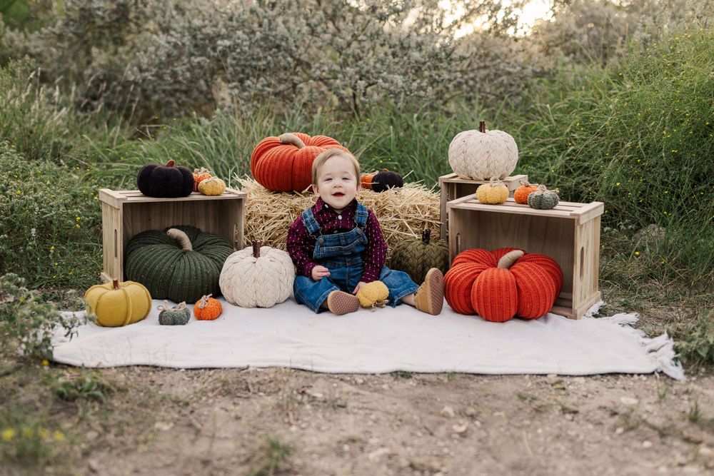 Colorful autumn pumpkins and gourds arranged with a wooden crate on white fabric in an outdoor setting for Fall Mini Sessions
