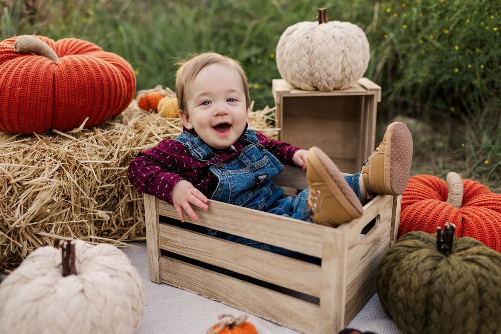 Decorative orange and white pumpkins displayed with a rustic wooden crate in a garden setting. Fall Minis San Antonio