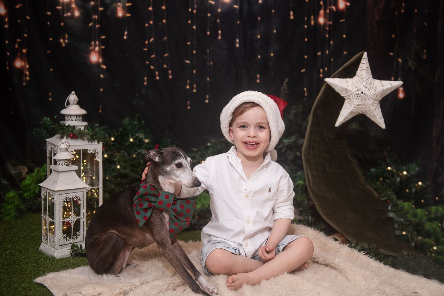 Holiday scene with white lantern, twinkling lights, and decorative star creating magical atmosphere.