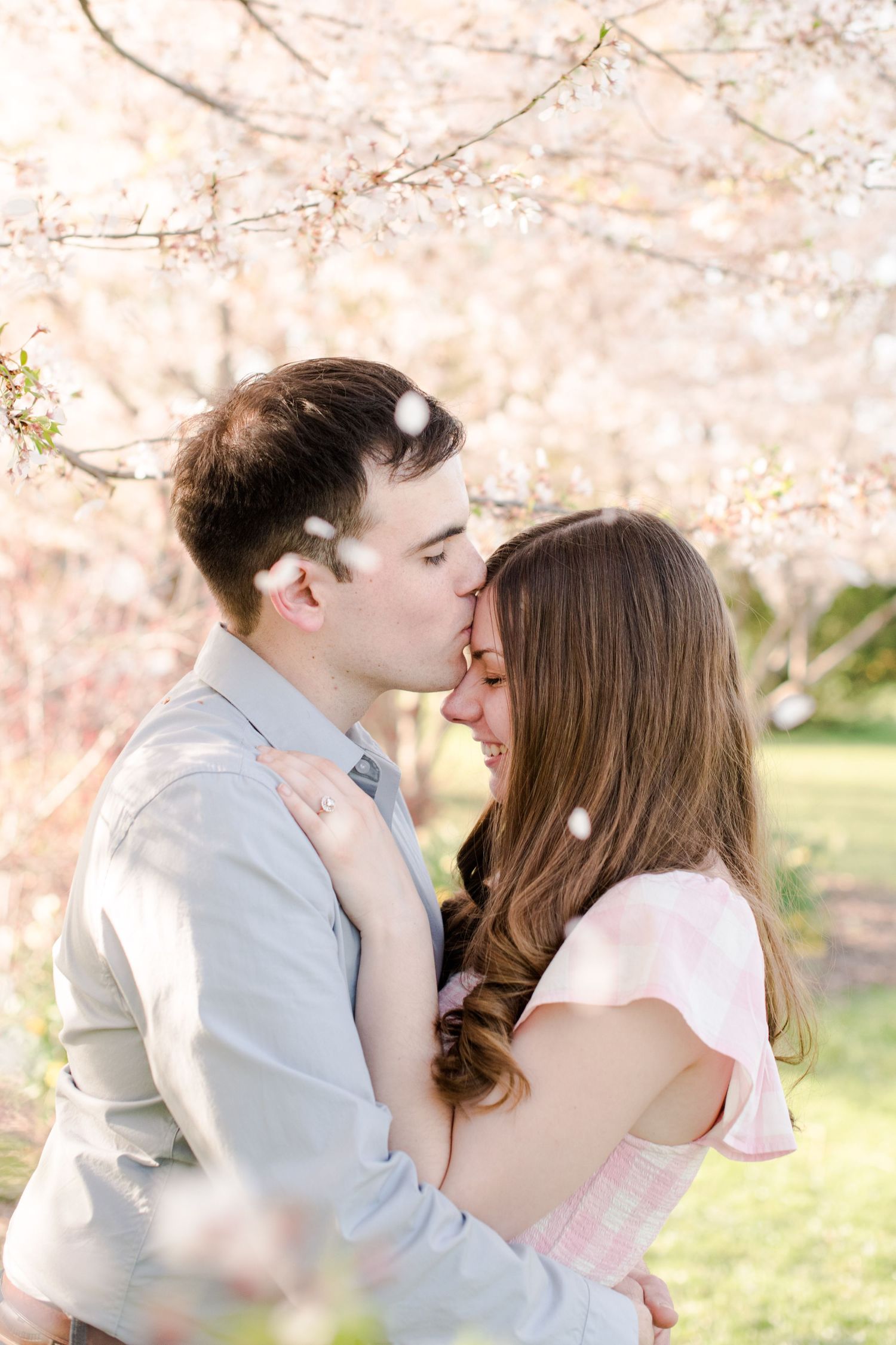 Couple shares romantic kiss under blooming cherry blossom trees during spring engagement photo session.