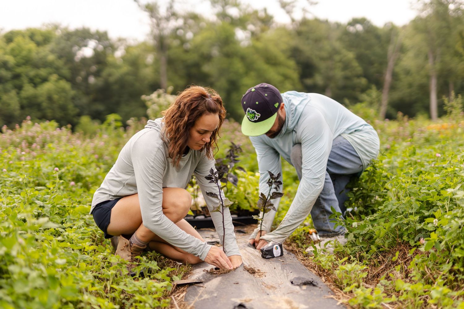Two people kneel in a garden planting small plants during an outdoor photo session for their business.
