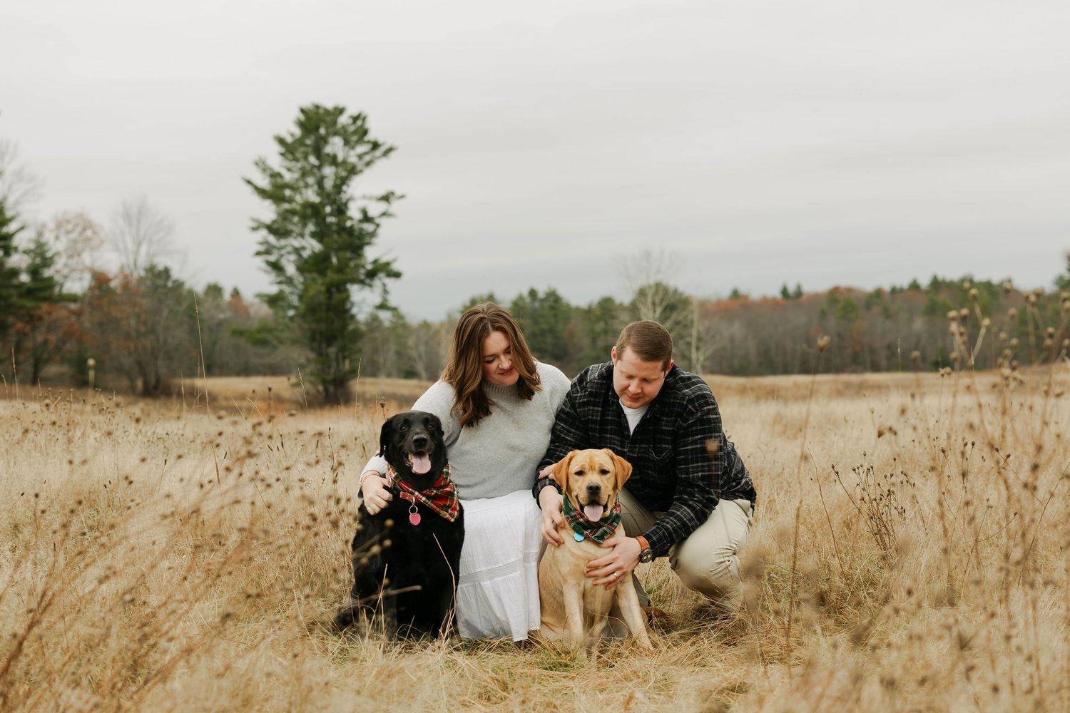 Two dogs, a black Labrador and golden retriever, sitting together on grassy hillside.