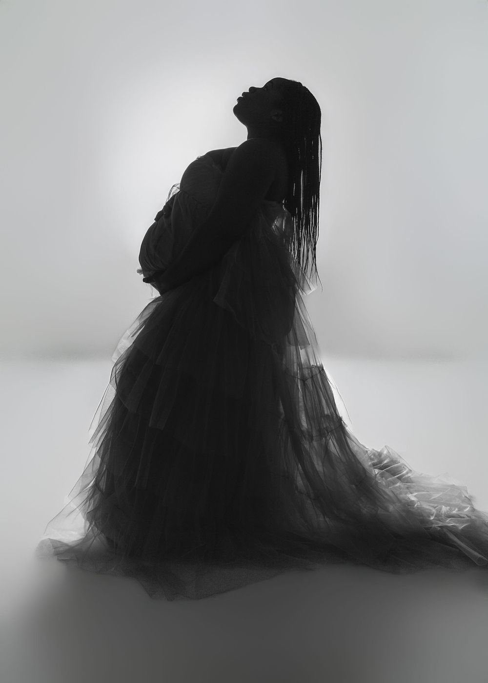 A silhouetted black dog with long flowing fur is shown in a sequence of profile views against a light background.