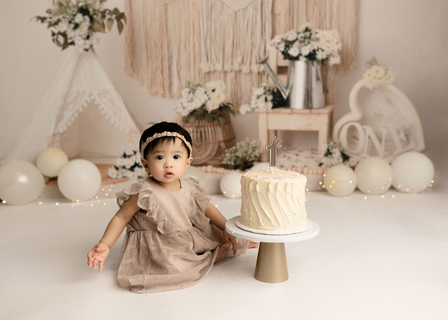 baby milestone first birthday photographer victoria bc, maternity photographer in victoria bc, newborn photographer victoria bc,