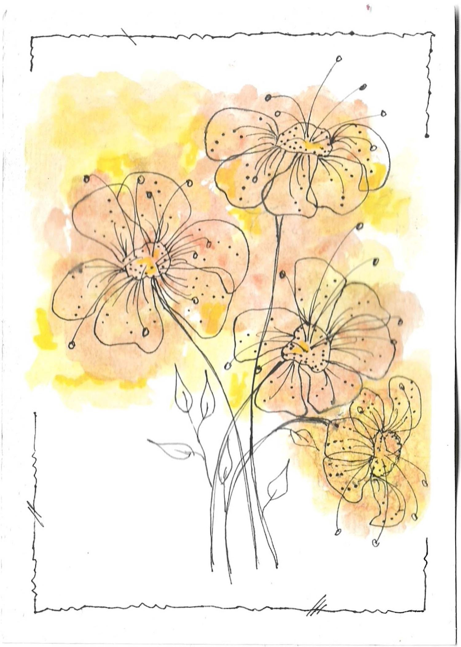 Progressive sequence of yellow flowers painted in watercolor with delicate line work.