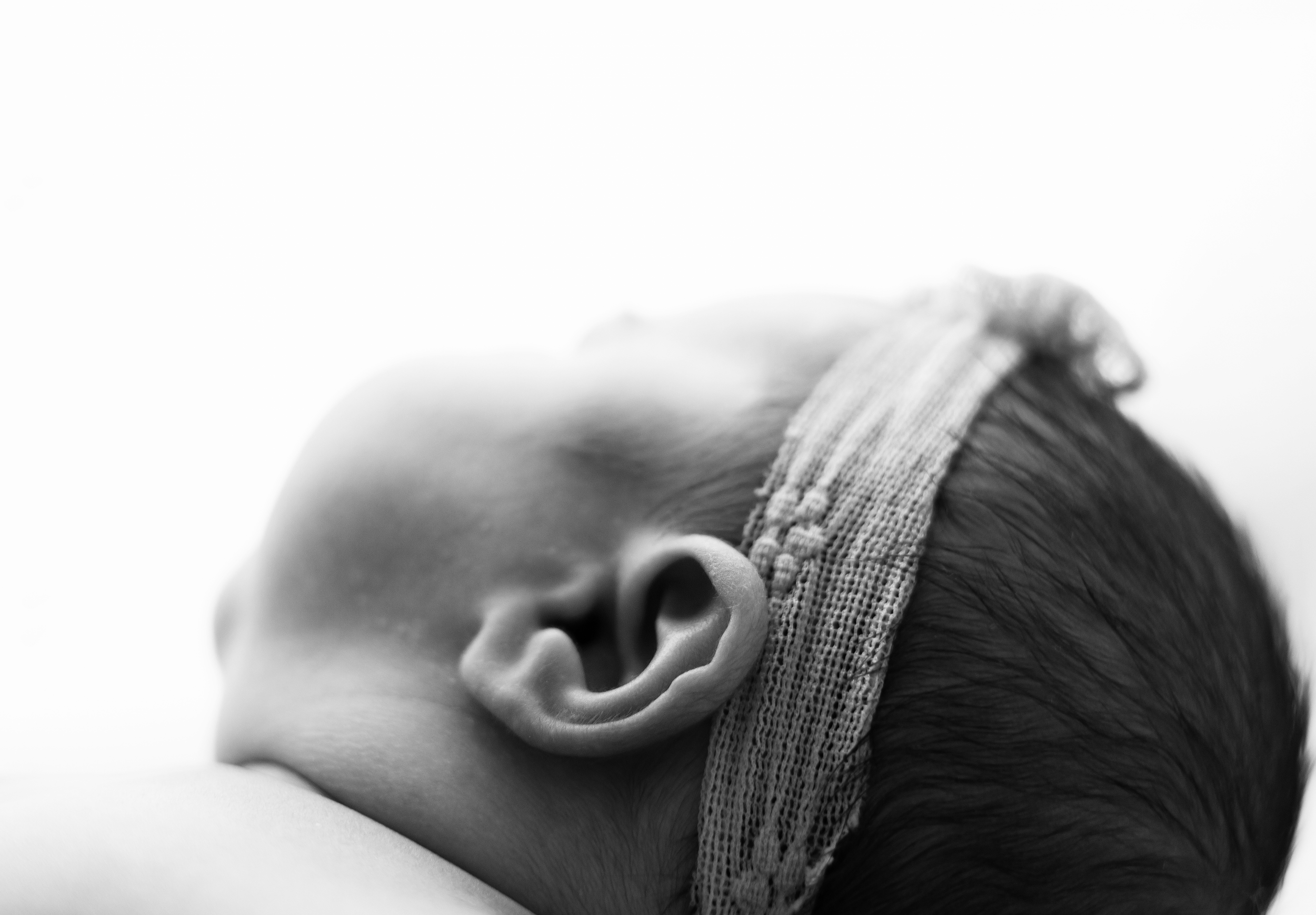 Newborn Photographer
baby Photographer
Maternity Photographer
Kentucky Photographer
Richmond Kentucky 
Berea KY
Lexington KY
Louisville KY