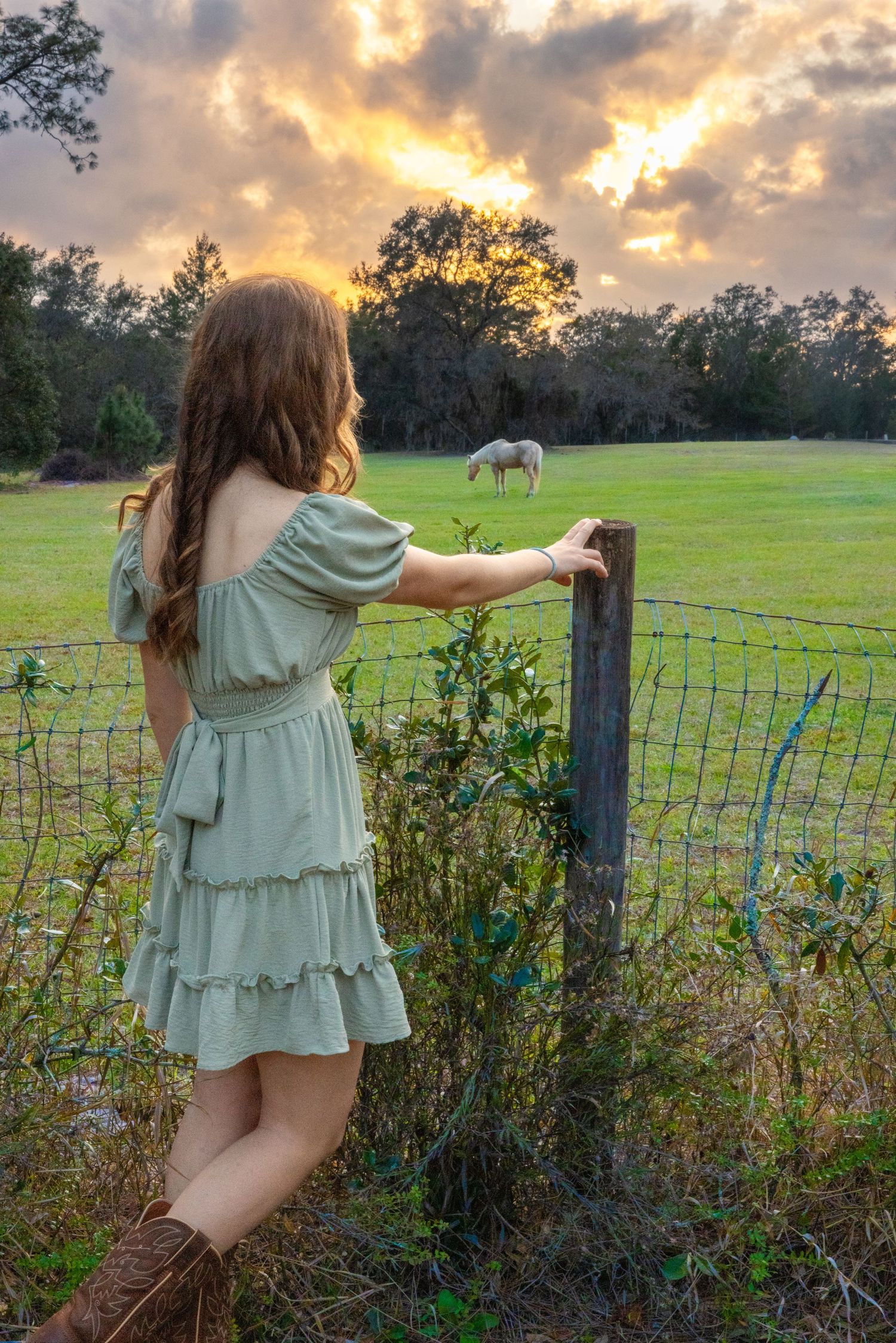 A young woman in a mint dress watches horses graze in a field at sunset for a senior session. Deland, Florida