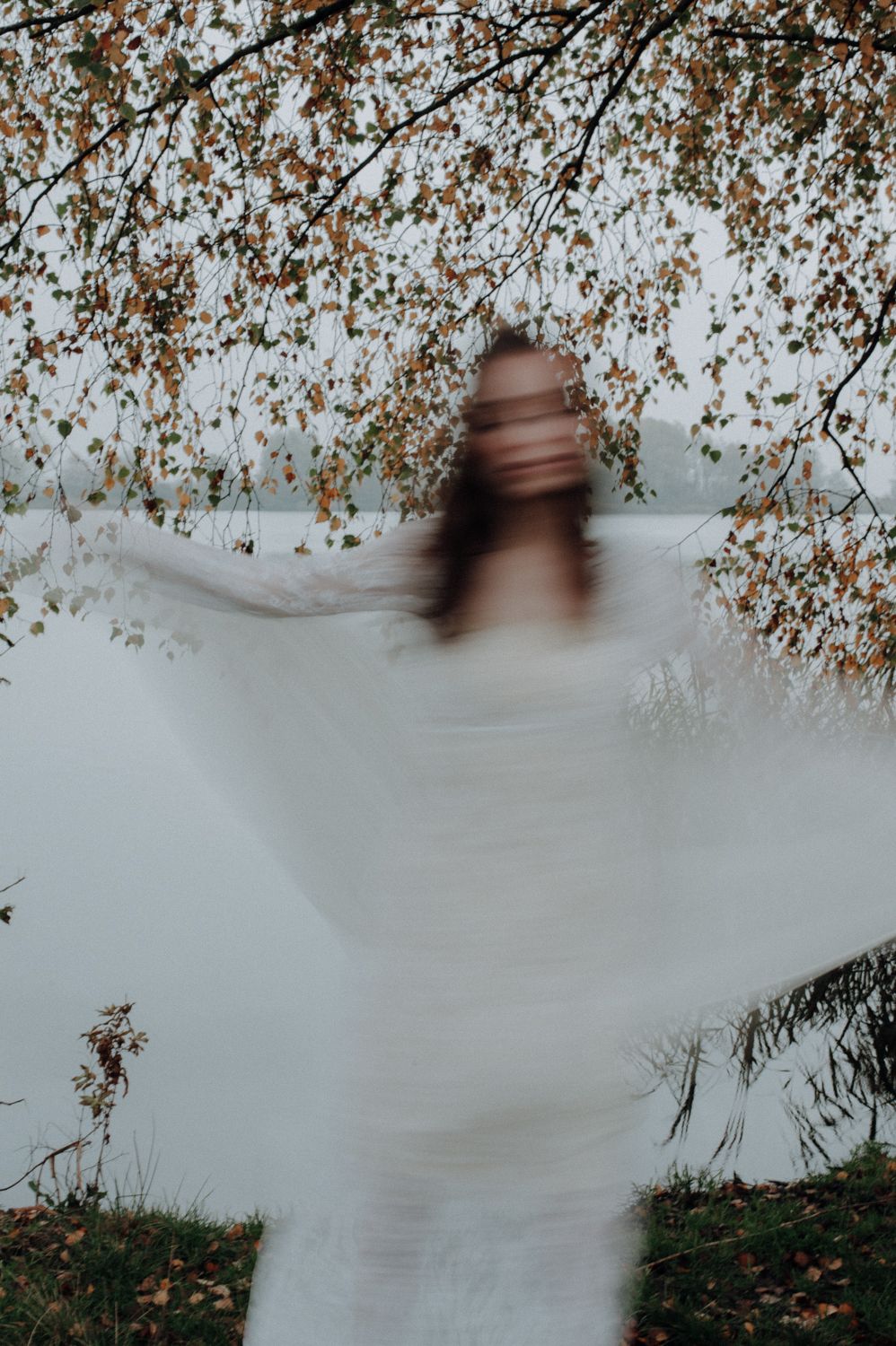 Dewitteleeuwin - Renske Brenkman