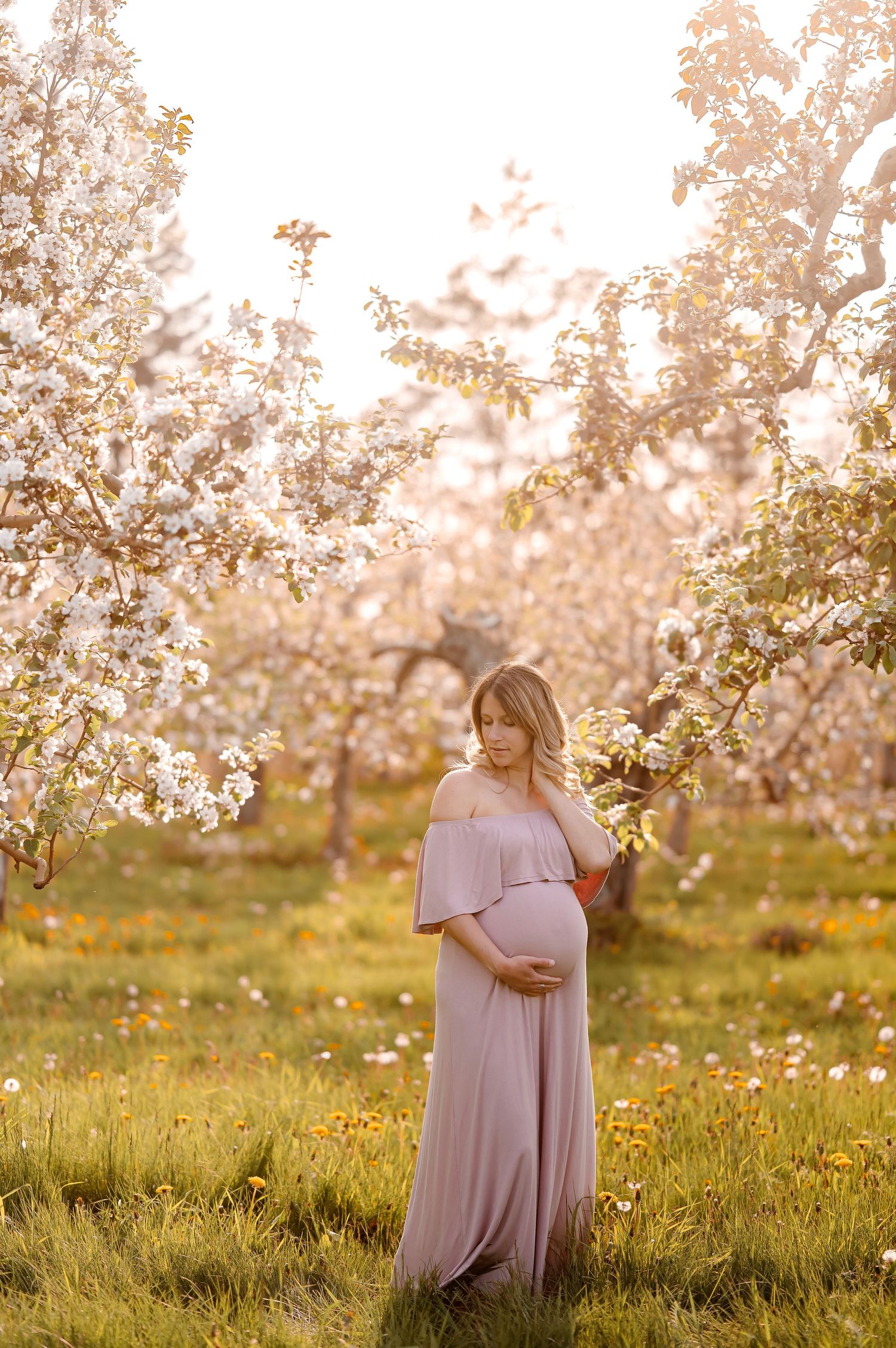 photographe nouveau-ne famille farnham monteregie montreal lifestyle