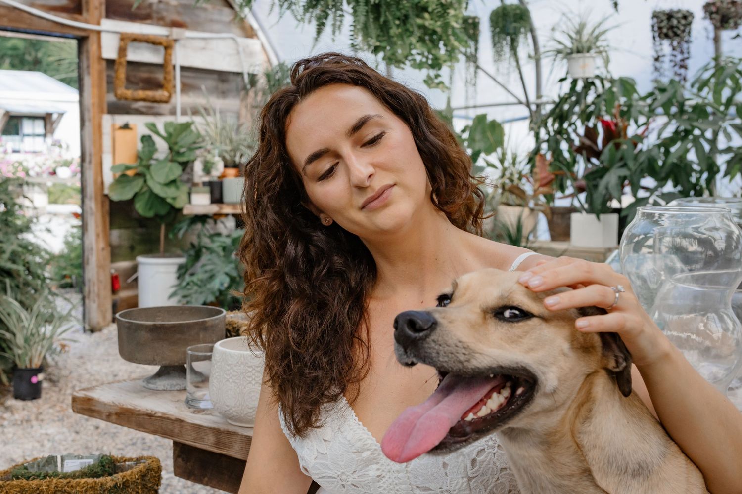 A happy dog receiving pets while surrounded by plants in a greenhouse setting.