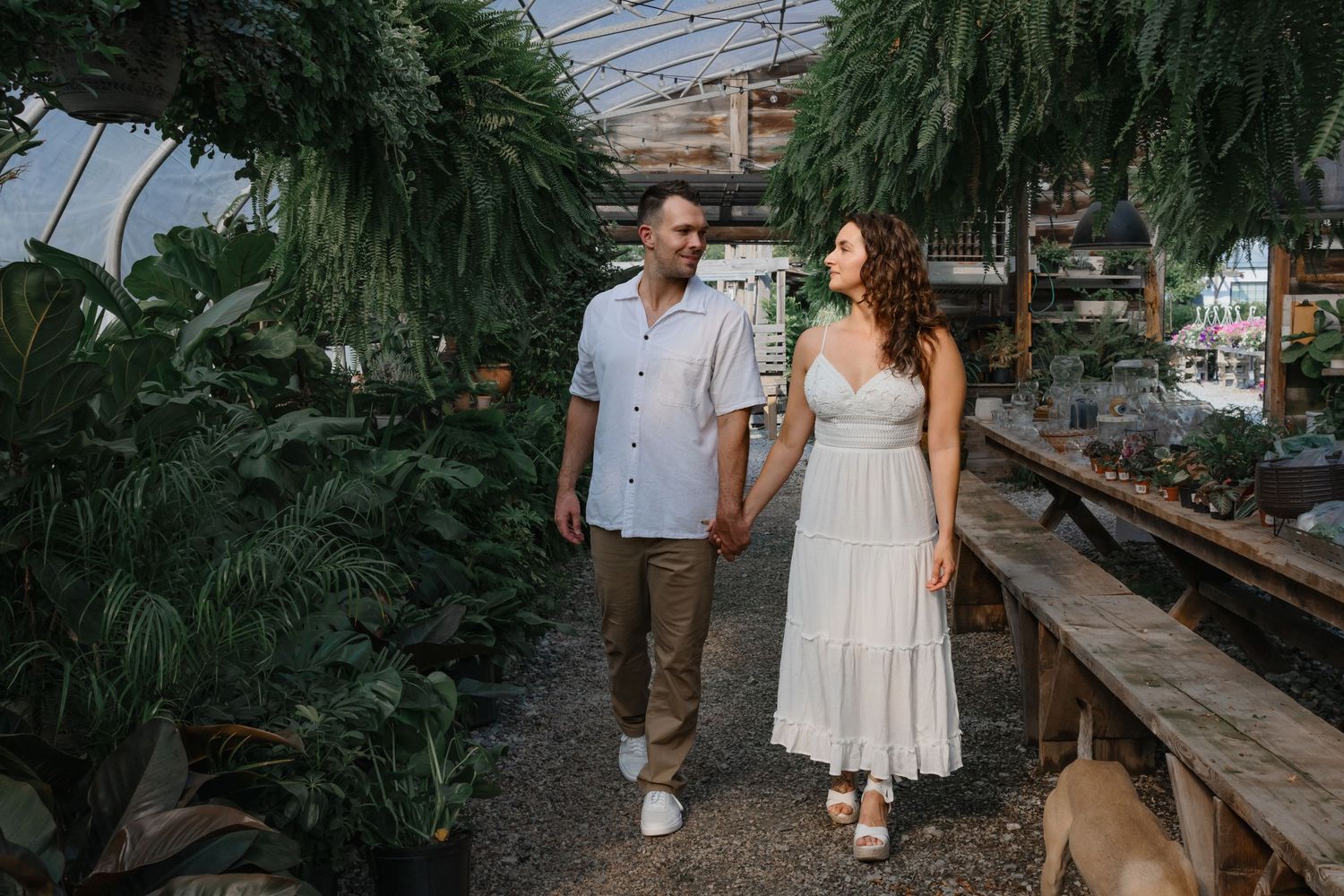 Couple walking hand in hand through greenhouse filled with hanging plants and wooden benches.