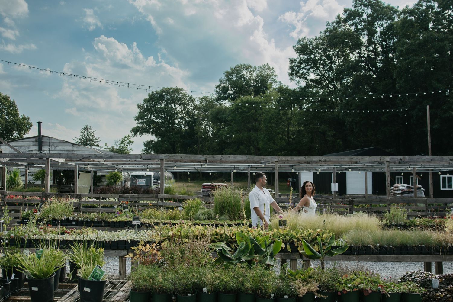 Wide shot of couple walking through nursery garden with string lights and plants.