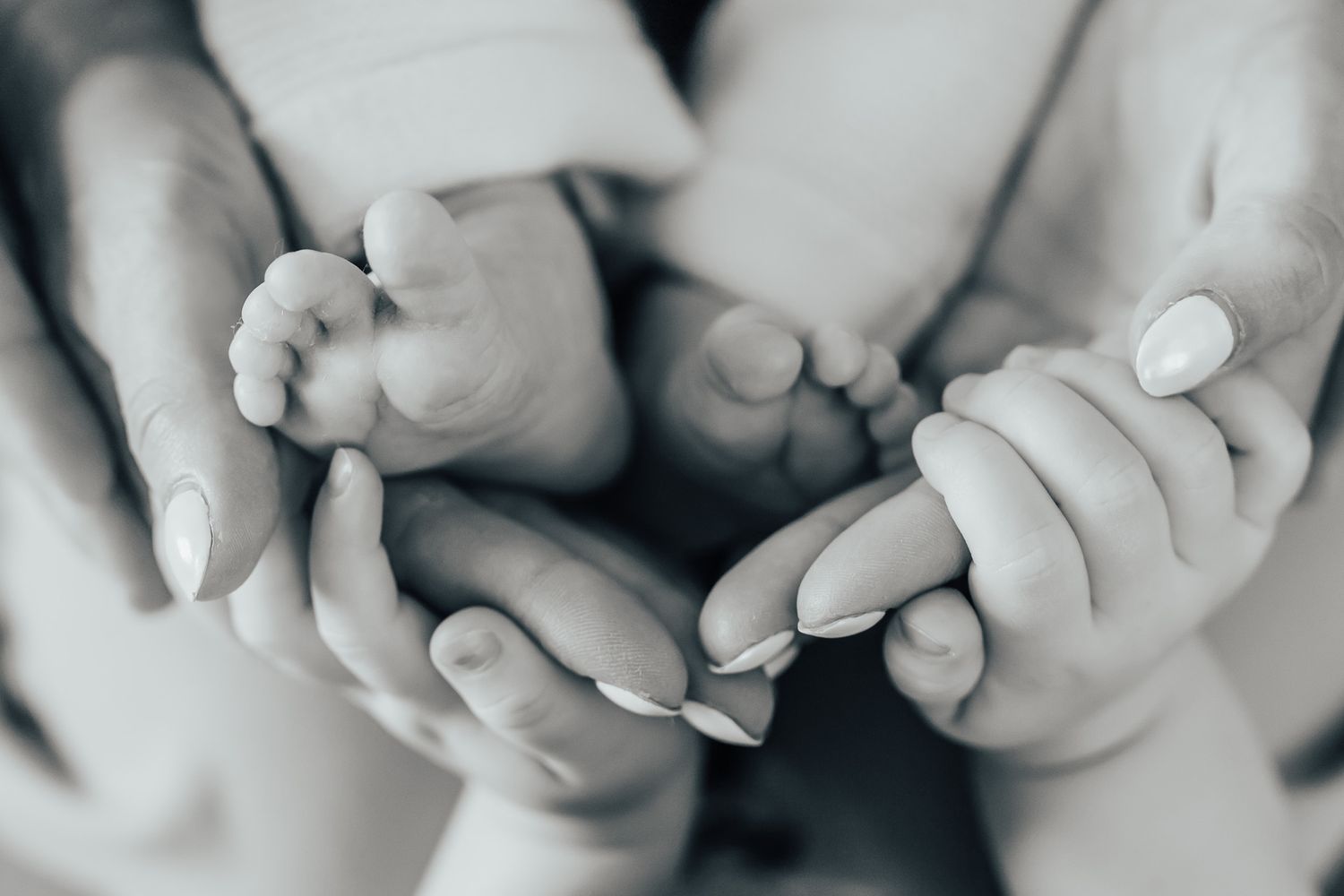Close up black and white photo of tiny baby feet being held in adult hands.
