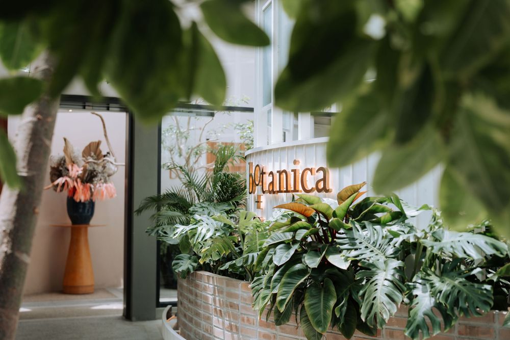 Decorative indoor space with tropical plants and a sign visible through green foliage.