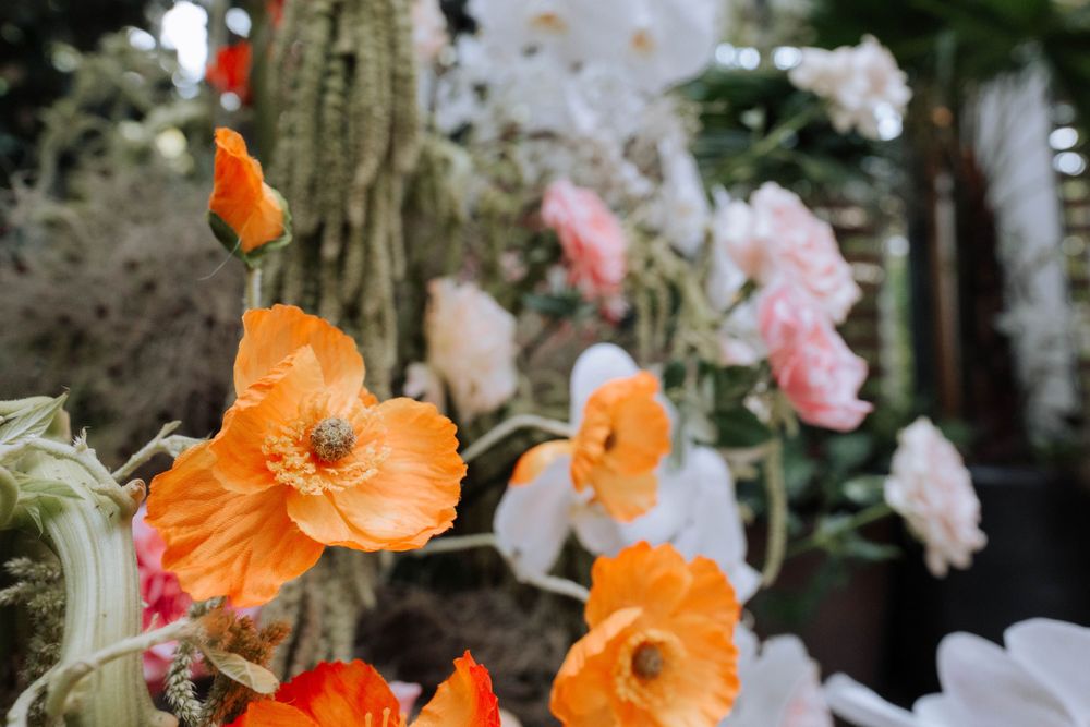 Vibrant orange poppies and white orchids blend together in a stunning floral display.