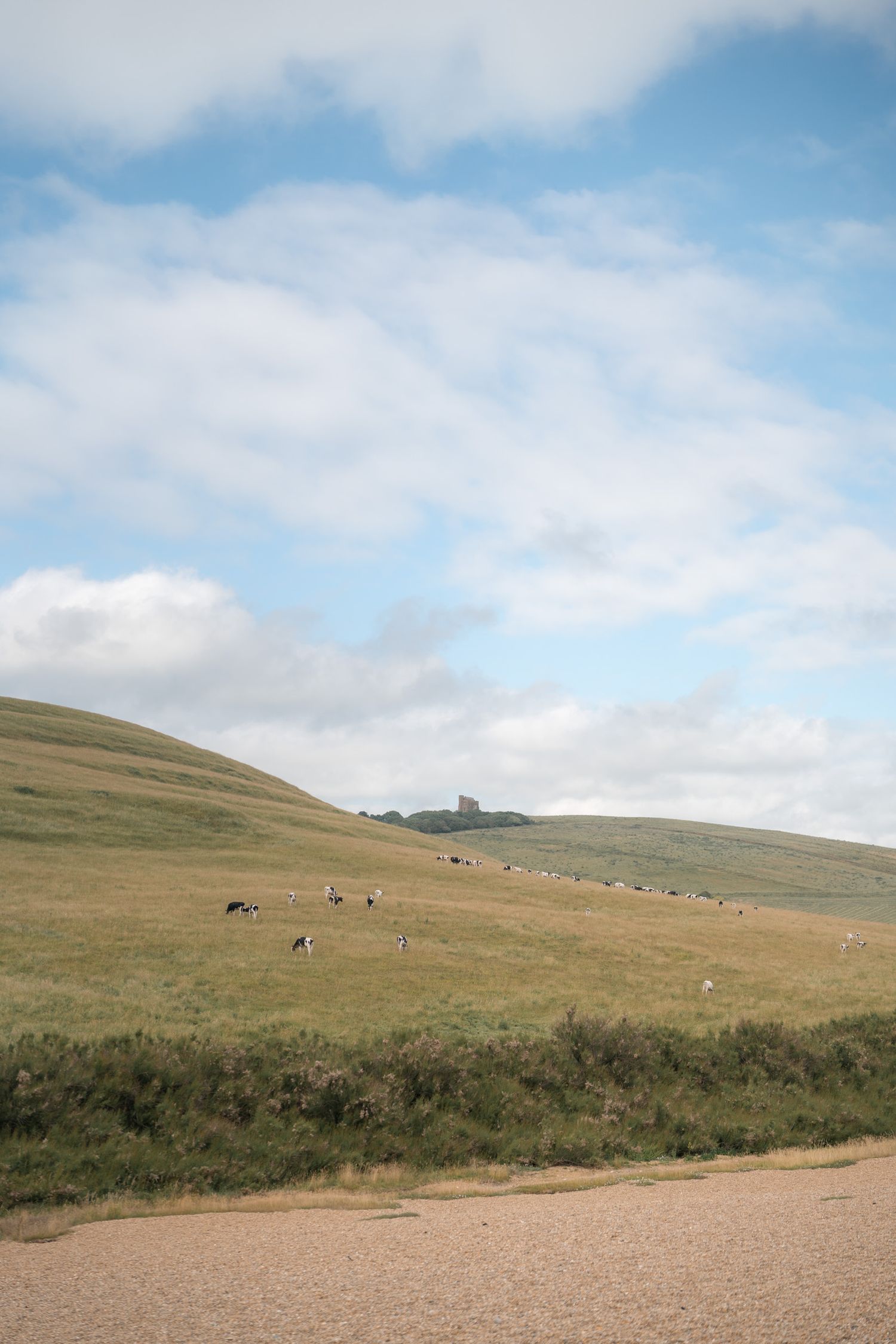 champs depuis chesil beach sur la jurassic coast en angleterre