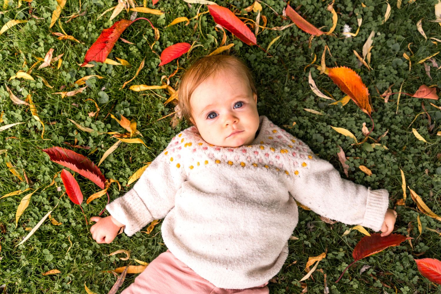 photo enfant nature près du Brabant wallon