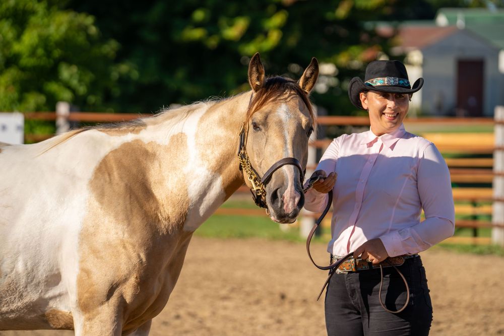 A dappled gray horse being led through an outdoor arena during training exercises.