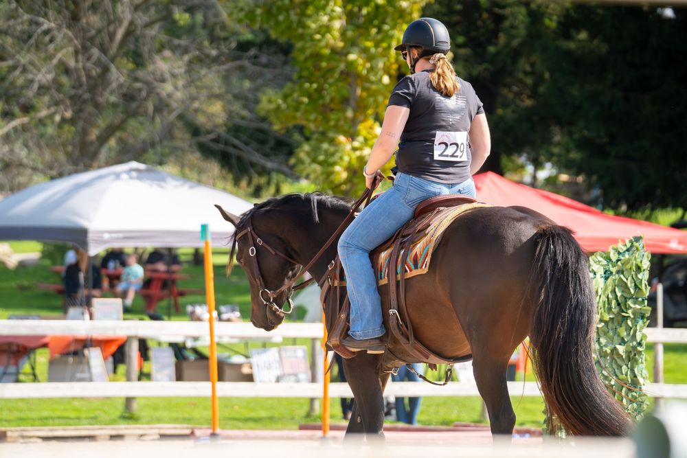 Equestrian riders practicing jumps and horseback riding techniques in an outdoor arena on a sunny day.