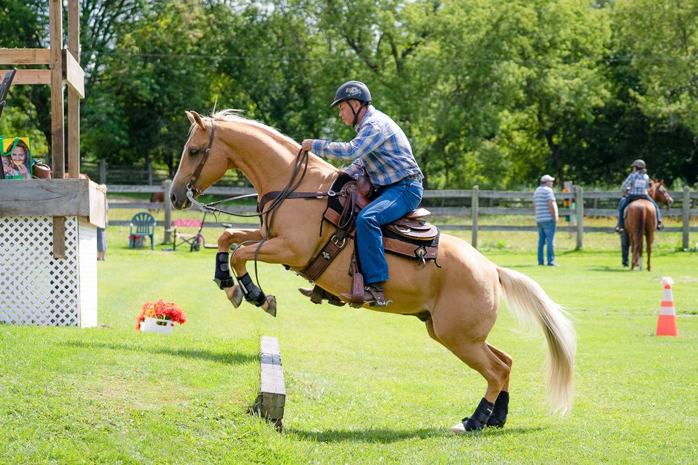 A rider in blue plaid shirt guides a palomino horse over a jump at an outdoor equestrian competition.