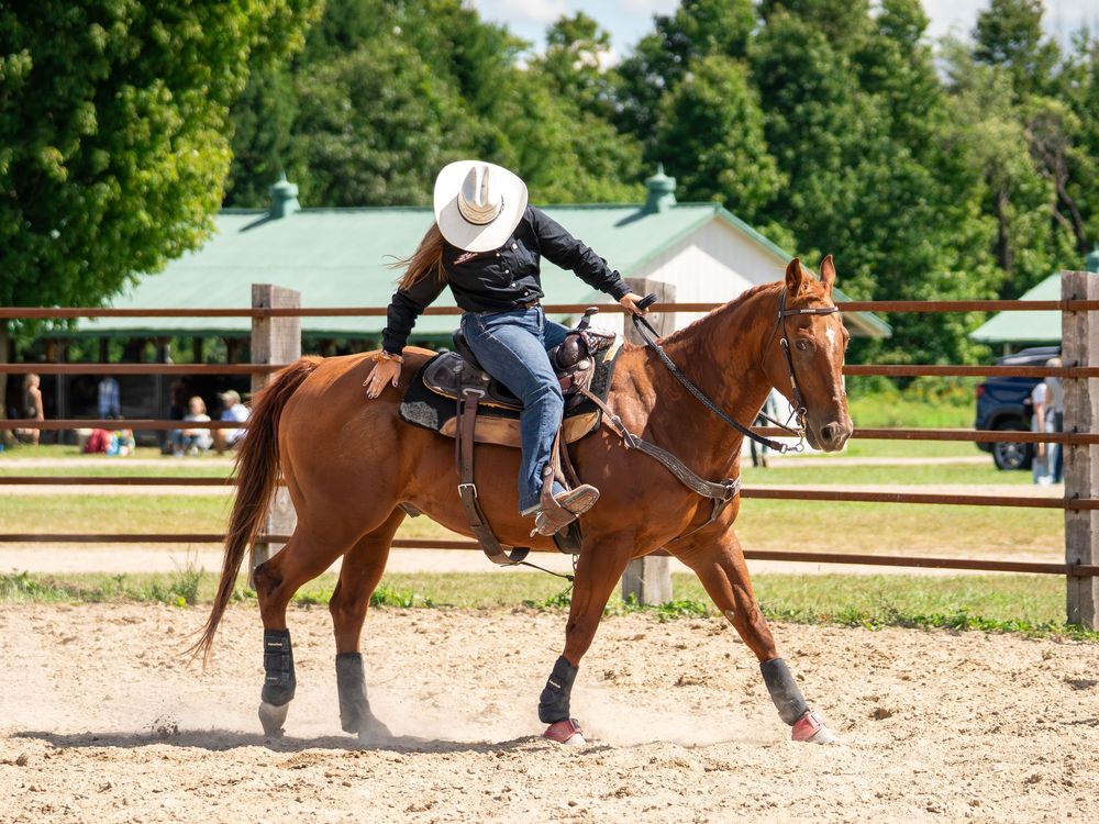 Horse and rider practicing dressage movements in an outdoor arena on a sunny day.