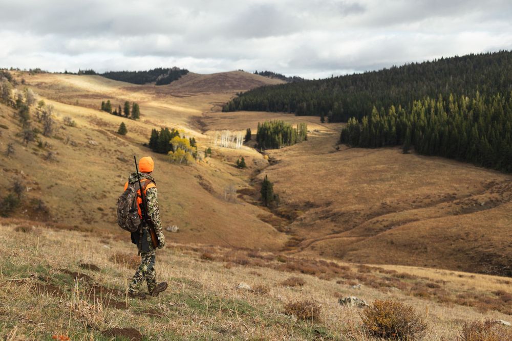 fall landscape image of man walking down mountainside dressed in camo and orange vest with rifle sling on back