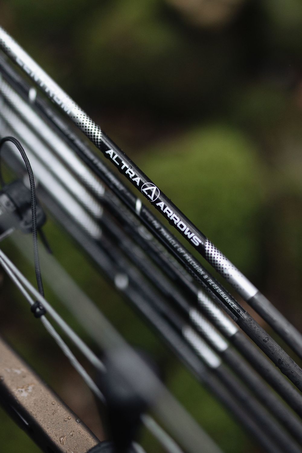 Black and white archery arrows in focus with blurry background of arrows on bow with green grass behind