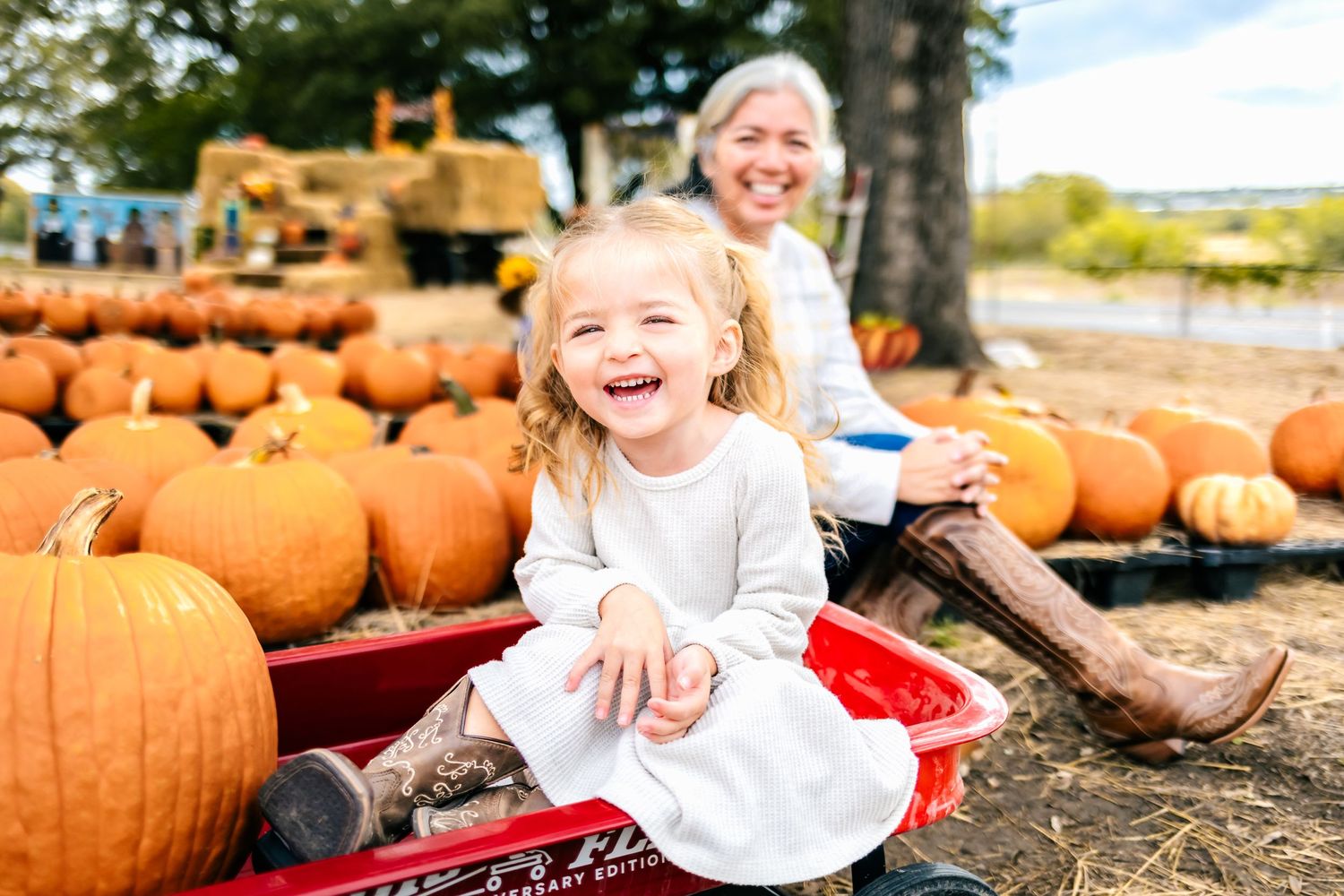 San Antonio family portraits at the Bracken pumpkin patch.
