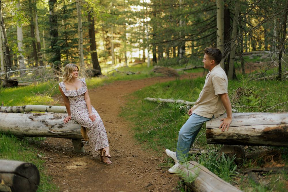 A couple sits on fallen logs along a forest trail surrounded by tall pine trees in a serene woodland setting.