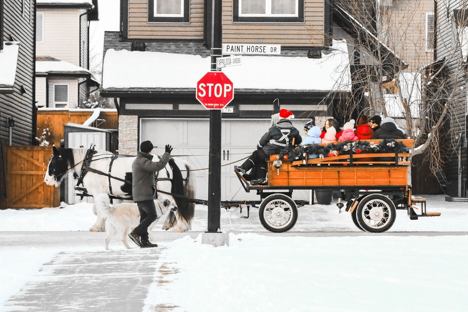 Horse-drawn wagon carrying passengers through a snowy suburban street past a stop sign.