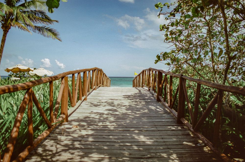 Wooden boardwalk leading to a tropical beach with palm trees and ocean views.