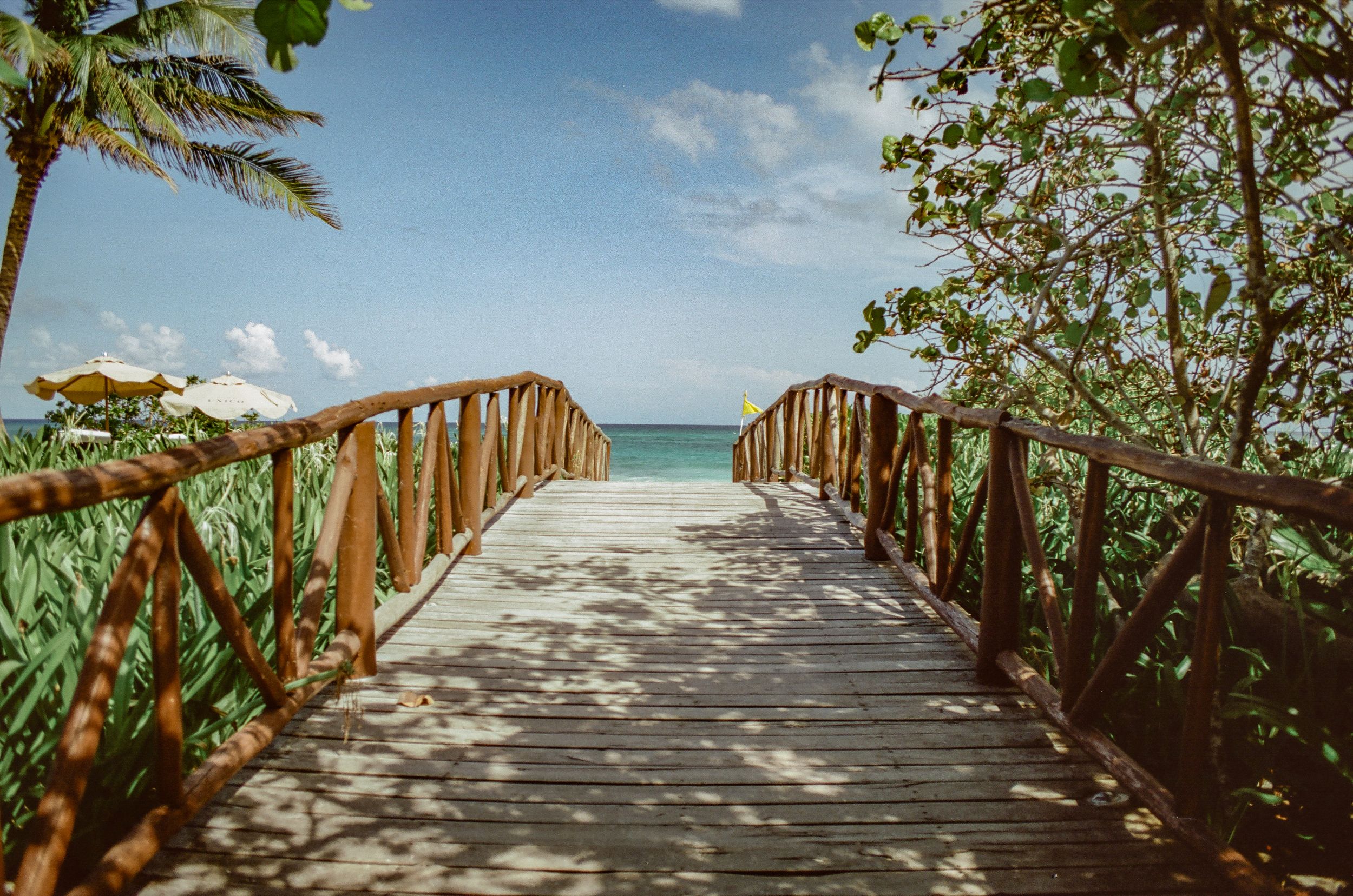 Wooden boardwalk leading to a tropical beach with palm trees and ocean views.