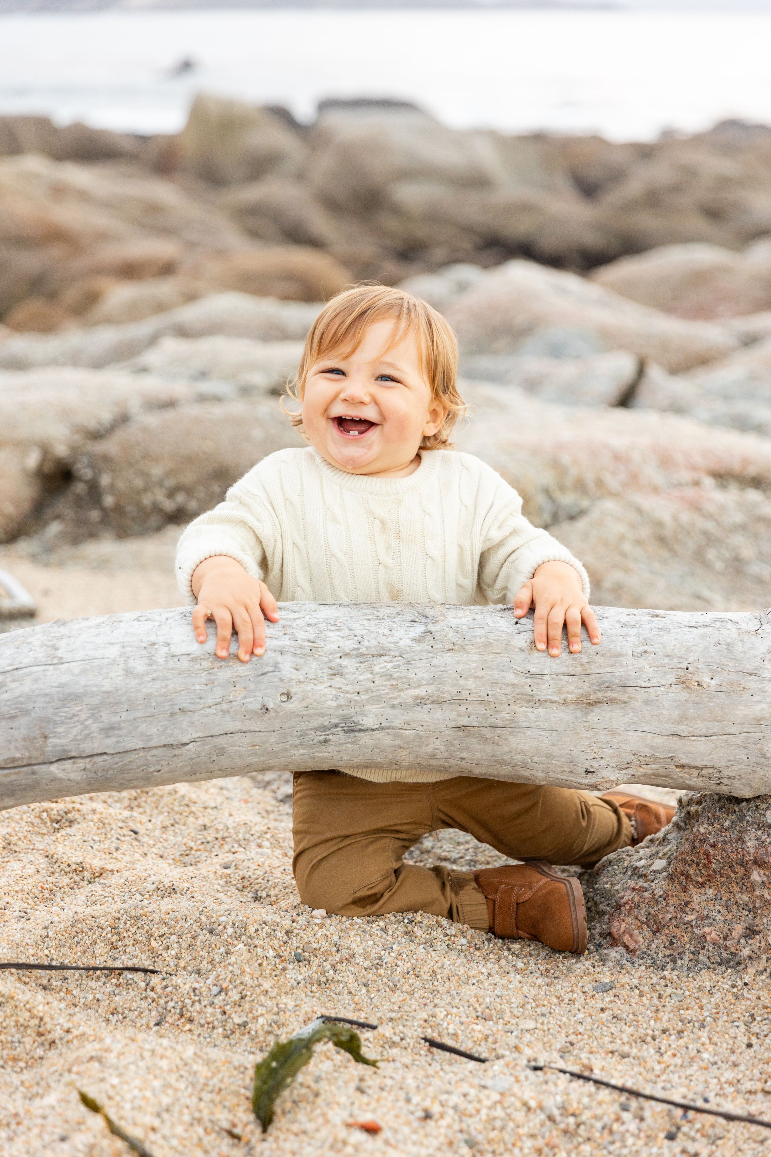 A happy toddler plays on driftwood at a rocky beach in Carmel for family pictures.