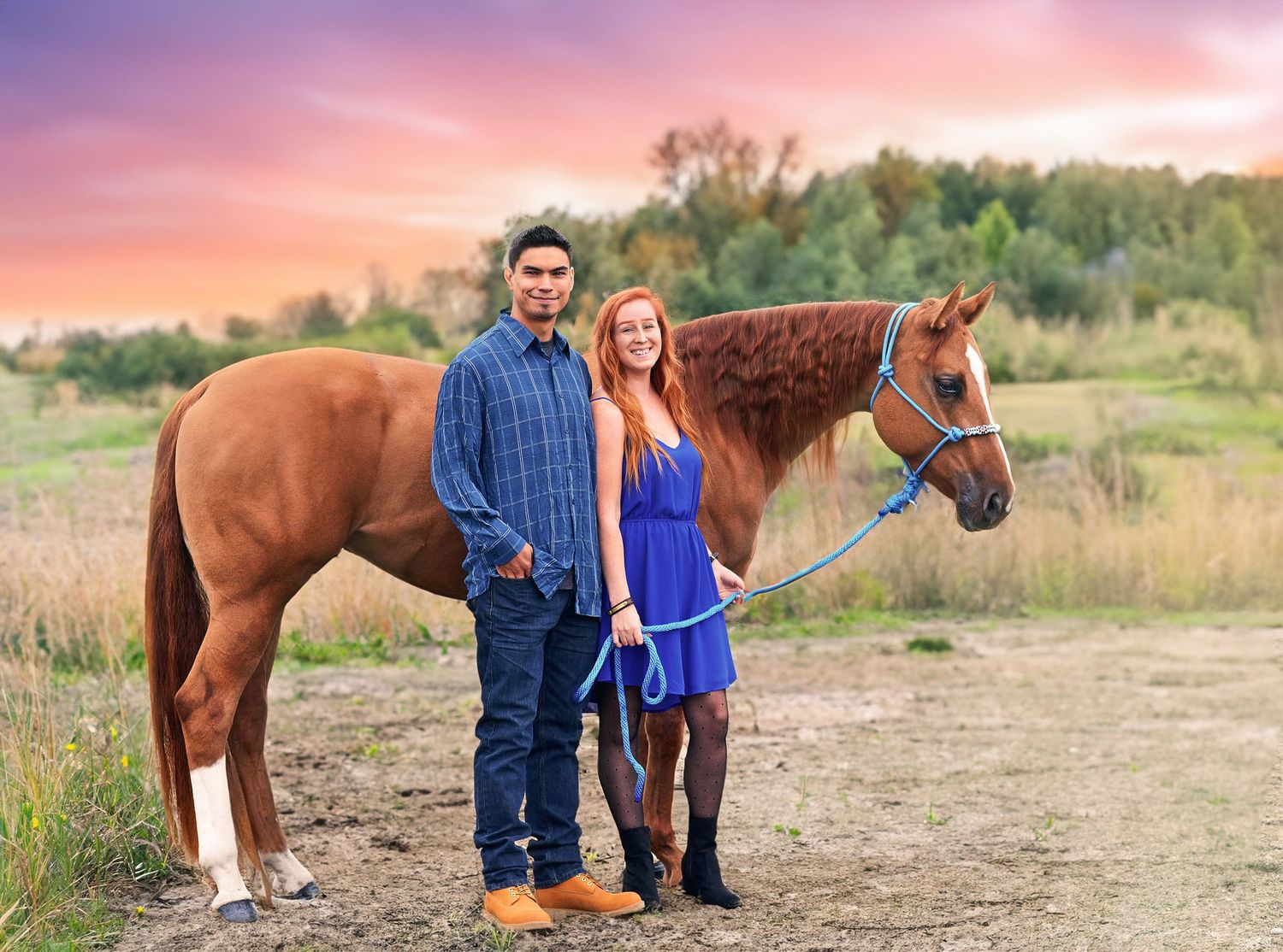 AE Equine Photography offers beautiful horse photography throughout the Lower Mainland. AQHA photo. Western lifestyle photo.